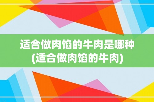 适合做肉馅的牛肉是哪种(适合做肉馅的牛肉)