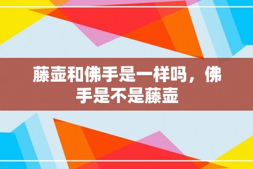 藤壶和佛手是一样吗，佛手是不是藤壶