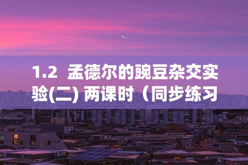 1.2  孟德尔的豌豆杂交实验(二) 两课时（同步练习）（附答案）—2022-2023高一下学期生物必修2（人教版(2019））