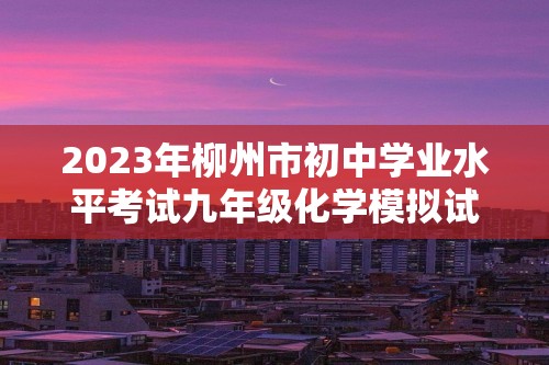 2023年柳州市初中学业水平考试九年级化学模拟试卷（无答案）