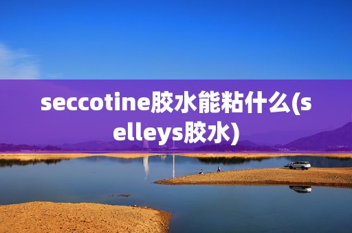 seccotine胶水能粘什么(selleys胶水)