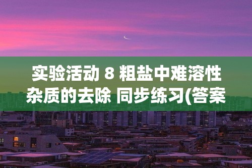 实验活动 8 粗盐中难溶性杂质的去除 同步练习(答案) 2022-2023人教版九年级下册化学