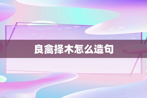 良禽择木怎么造句