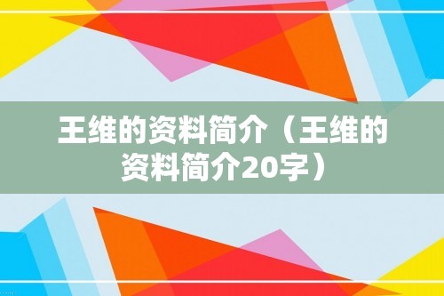 王维的资料简介（王维的资料简介20字）