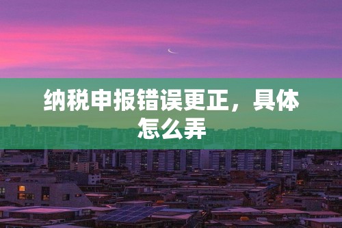 纳税申报错误更正，具体怎么弄