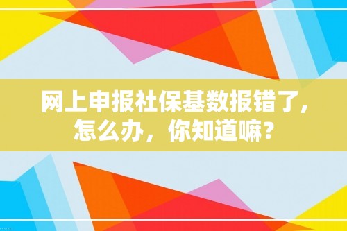 网上申报社保基数报错了,怎么办，你知道嘛？