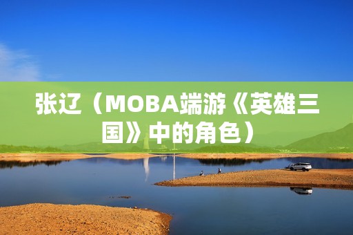 张辽（MOBA端游《英雄三国》中的角色）