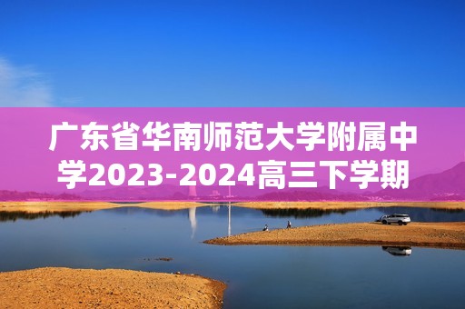 广东省华南师范大学附属中学2023-2024高三下学期4月高考适应性练习 化学 （答案）