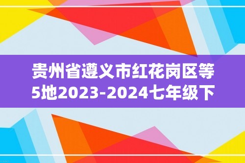 贵州省遵义市红花岗区等5地2023-2024七年级下学期5月期中考试数学试题(pdf版含答案)