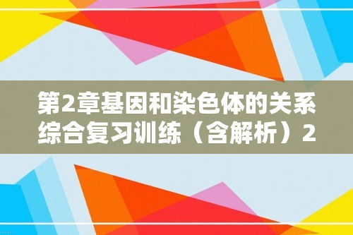 第2章基因和染色体的关系综合复习训练（含解析）2023——2024高生物人教版（2019）必修2遗传与进化